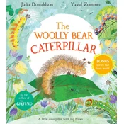 Woolly Bear Caterpillar