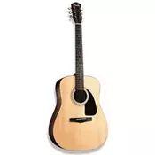 FENDER western kitara DG-6