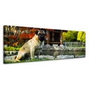 shumee Platno s tiskom Živali Mops 120x40 cm