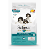 Schesir Dog Small Puppy s piletinom - 2 x 2 kg