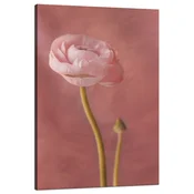 shumee Platno z vzorcem Botany Pink potonika 80x120 cm