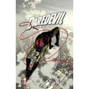 Daredevil Modern Era Epic Collection: The Murdock Papers