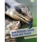 Bug Club Independent Non Fiction Year Two White A How Animals Smell, Taste and Touch