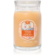Yankee Candle Signature Large Jar 2 Wicks Slopeside Spritz Universal