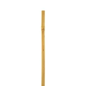 OPORA ZA RASTLINE VZPENJAVKE 120cm BAMBUS | Topdom