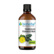 Navadna zobačica - tinktura, 100 ml