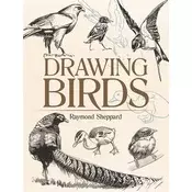 Rayher. Knjiga Drawing Birds