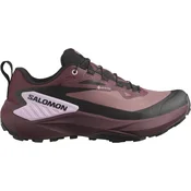 Salomon Genesis GTX