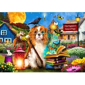 ENJOY Puzzle School of magic 1000 kosov