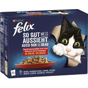 Felix Fantastic - Mesni izbor, 12 x 85 g