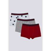 U.S. Polo Assn. Set bokserica za decake US1378, 3 komada, Bele, sive i bordo