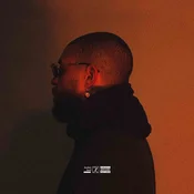 Kenneth Whalum - Broken Land 2 (Limited Edition) (Crystal Clear Coloured) (LP)