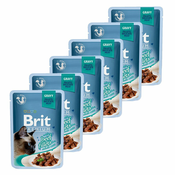 Vrečka BRIT Premium Cat Delicate Fillets in Gravy with Beef 6x85 g