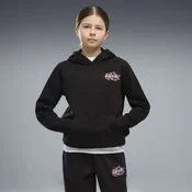PUMA Essentials Nature 2.0 Graphic Hoodie Youth, Kids, Black, 15-16Y