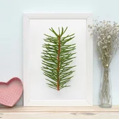 Wallity Zidna dekoracija BC7406288862, 24 x 29 cm, Šarena