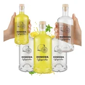 shumee Komplet 5 steklenic tadek 500ml potiskane limonine tinkture za darilo za poroko