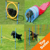 POPOLN AGILITY FUN & SPORT SET ZA VADBO - VARČEVALNI PAKET S 4 ELEMENTI