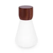 Led svetilka Gingko Design Pentagon