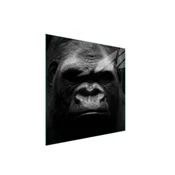 shumee Steklena zaščita za kuhalno ploščo 50x52 Gorilla