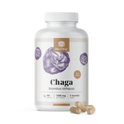 Chaga 1000 mg – izvleček 5:1, 180 kapsul