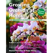 Growing Orchids at Home