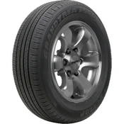 Dunlop Grandtrek PT30 ( 225/60 R18 100H)