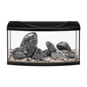 Akvarij STARTUP 80 LED ZAOBLJEN ČRN + Ryuoh Shine River Kit