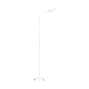 Briloner 1297-016 - Prigušiva LED podna lampa LED/8W/230V
