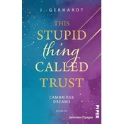 This stupid Thing called Trust