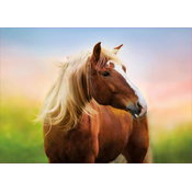 Puzzle Horse at Sunrise Educa 500 dijelova i Fix ljepilo od 11 godina
