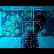 John Vanderslice - The Cedars (LP)