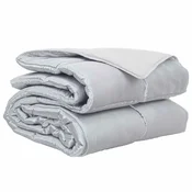 Vidaxl Polna celoletna prevleka srebrna 200 x 220 cm