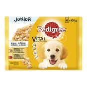 PEDIGREE Vlažna hrana za pse junior multipack piletina I govedina u želeu 4x100g