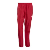 ADIDAS PERFORMANCE Športne hlače LIVERPOOL FC  rdeča / temno rdeča / bela