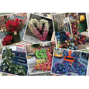 Ravensburger Puzzle Cvetje v New Yorku 1000 kosov