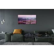 tulup.si Slika na akrilnem steklu Terenske vresovke 125x50 cm 4 obešalnika