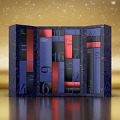 Premium Satisfyer adventski kalendar - 2024