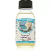 THD Profumo Lavatrice Brezza Di Pulito koncentrirana dišava za v pralni stroj 100 ml