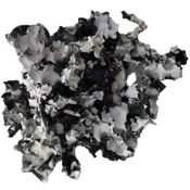 shumee Črni lišaj 25 g
