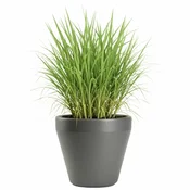 shumee Vrtni lonec Purea, antracit, v34,9 x 39,5 cm