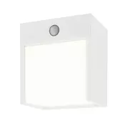 Rabalux 7479 - LED Zunanja stenska svetilka s senzorjem BALIMO LED/12W/230V IP44