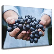 shumee Platno s potiskom Kuhinjski grozd 40x30 cm