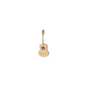 Hora Eco SS100 maple guitar