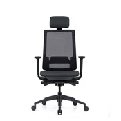 Ergovision Ergonomski pisarniški stol Expert | Barva: Črna