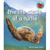 The life cycle of a turtle