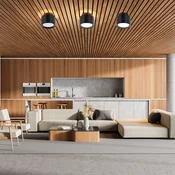 Näve LED stropni reflektor Trimes, O 14 cm, črn, CCT, stopnjevalno zatemnitven - Dnevna soba/jedilnica - Plastika