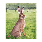 JVD Target Face Animal Hare