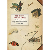 Insect and the Image
