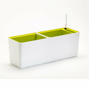 Belo-zelen samozalivalni sadilnik Plastia Berberis , dolžina 59 cm