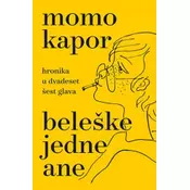 Beleške jedne Ane - Hronika u dvadeset šest glava